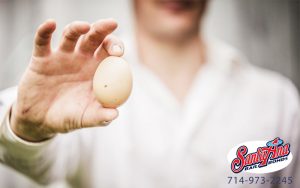 Egging in California