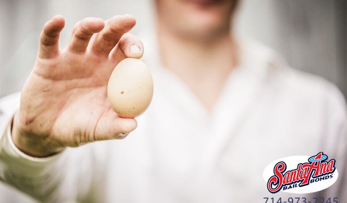 Egging in California